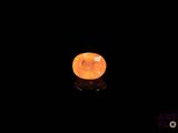 an image of a glowing orange moon in the dark sky