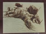 dessin encadré représentant une girafe couchée dans une pièce
