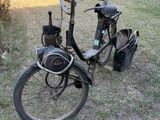 un vélo garé dans l'herbe près d'un arbre