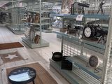 de nombreuses étagères remplies d'horloges et d'autres articles dans le magasin