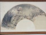 une photo d'un dessin représentant un cochon, dans un cadre