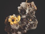 un gros plan d'un rocher sur lequel se trouve une fleur