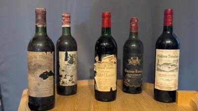 several bottles of wine are lined up on a wooden shelf