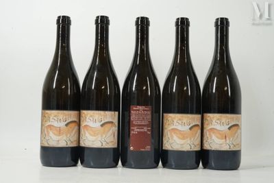 six bouteilles de vin sont alignées sur une surface blanche