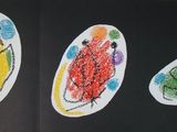 une image représentant un livre sur lequel figurent une coccinelle, une coccinelle et encore une coccinelle