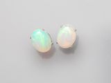 une paire de boucles d'oreilles « oplite »
