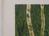 an image of a book with a picture of trees on it