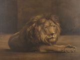 tableau représentant un lion couché par terre dans une pièce sombre
