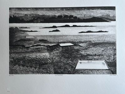 a black and white drawing of a pool in the middle of a beach