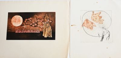 un livre sur lequel figure le dessin d'une femme et d'une pleine lune