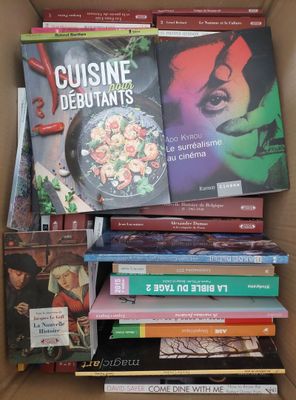 lot de 60 livres