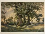 tableau représentant un grand arbre dans un champ herbeux, avec le ciel en arrière-plan