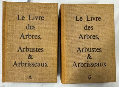 Deux livres sont posés sur un plan de travail en marbre