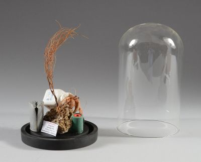 un petit vase en verre contenant une petite plante