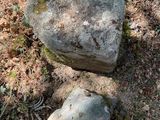 two large rocks sitting on the ground next to some plants