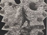 une photo en noir et blanc d'une feuille de papier sur laquelle figure un visage