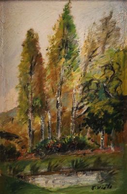 Ecole moderne "paysage à la mare".