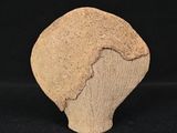 a close up of a stone vase with a black background