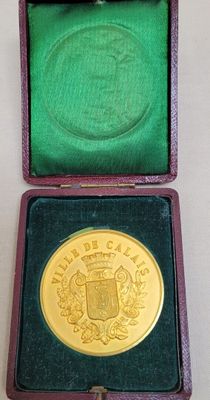 an image of a gold medal in a green box