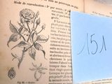 un livre sur lequel est dessiné une rose et auquel est joint un petit mot