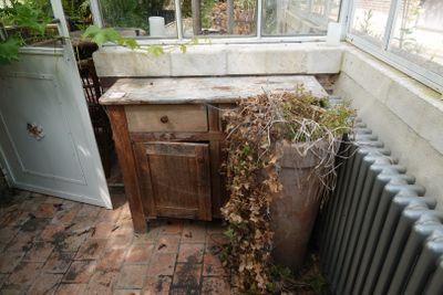 une plante qui pousse à partir d'une plante en pot, dans un coin de la pièce