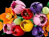 brightly colored tulips are arranged in a bouquet on a black background