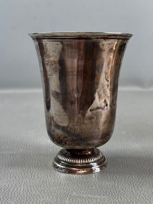 a silver cup that is sitting on a table