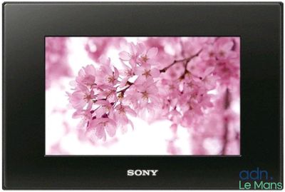 Le cadre photo Sony est représenté avec des fleurs roses dessus.