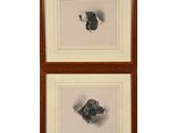 two framed pictures of a dog and a bird on a white background