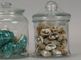 two glass jars with shells inside of them on a table