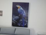 un tableau représentant un perroquet accroché au mur d'un salon