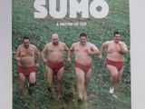 L'affiche du film « Sumo » est accrochée au mur.