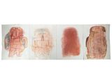 quatre dessins de couleurs différentes, de formes et de tailles variées, sur du papier blanc