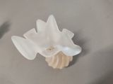 a white flower that is sitting on a table