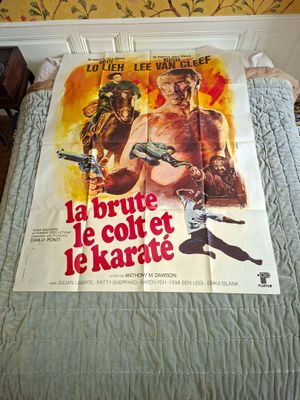 la brute, le colt et le karaté.