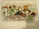 a plastic container filled with assorted seashells on a table