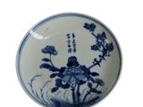 two blue and white plates with flowers on them