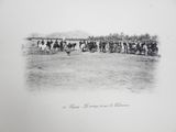 a black and white photo of a herd of cattle