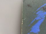 une photo montrant un gros plan d'un livre recouvert de peinture bleue
