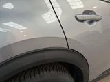 a cat sitting on the side of a car door
