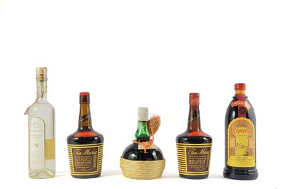 plusieurs bouteilles d'alcool sont alignées sur une surface blanche