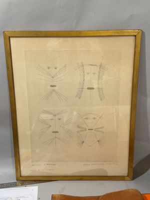une image d'une photo d'une photo représentant une robe et un portefeuille