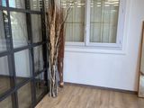 a plant that is sitting in the corner of a room
