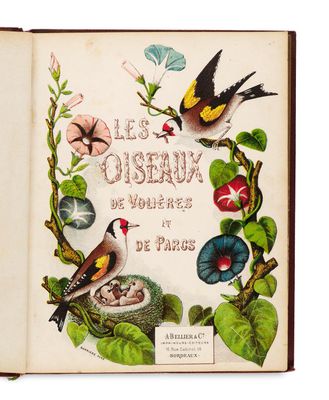 un livre ouvert sur lequel figure une illustration représentant des oiseaux et des fleurs