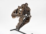 the skeleton of a t - rex is displayed on a stand