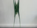 a tall vase with two flowers in it sitting on a wooden floor