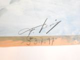 Photo 14/19 du lot