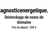 Photo 1/1 du lot