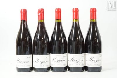six bouteilles de vin sont alignées sur une surface blanche
