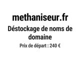 Photo 1/1 du lot